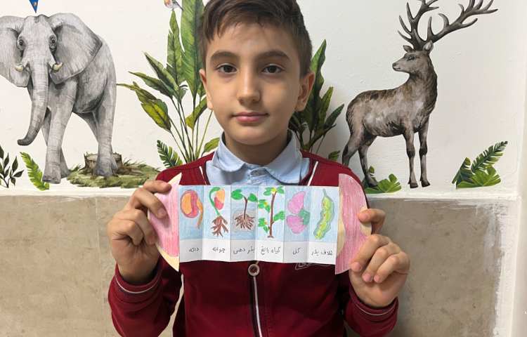 علوم سرگذشت دانه 1