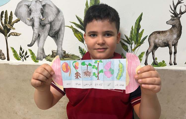 علوم سرگذشت دانه 3