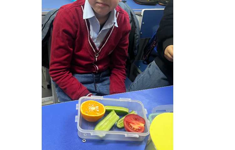 علوم سفر به درون گیاه 1