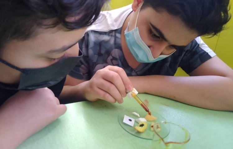 علوم ششم، آزمایش شناسایی نشاسته 1