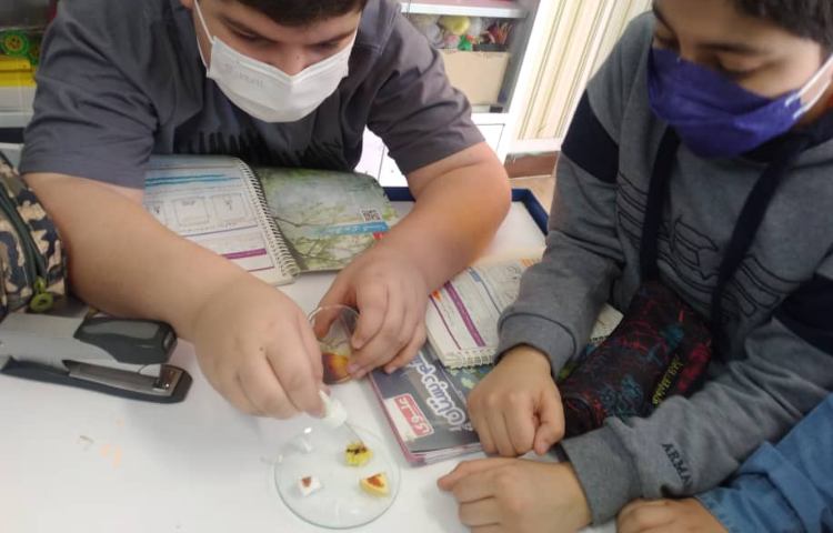 علوم ششم، آزمایش شناسایی نشاسته 3