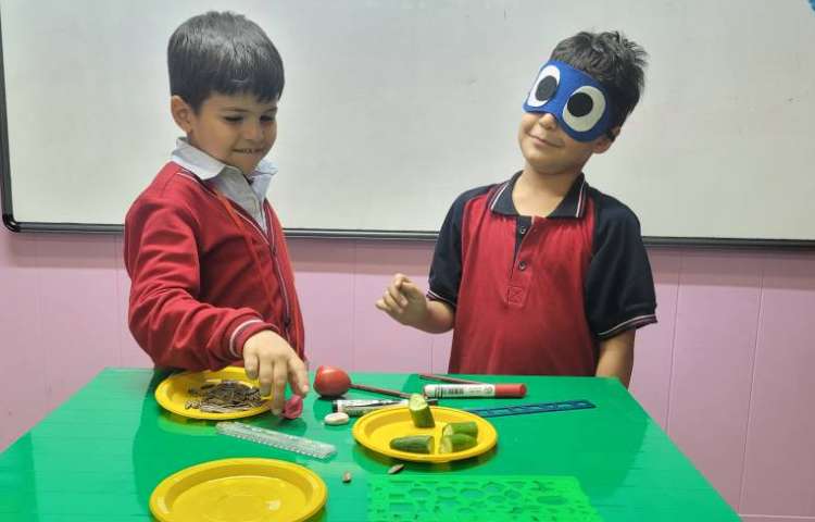 علوم : شناخت حس بویایی و لامسه و استفاده از آن 2