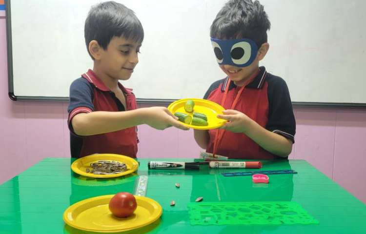 علوم : شناخت حس بویایی و لامسه و استفاده از آن