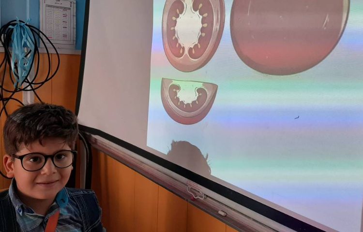 : علوم فصل اول، کلاس توت فرنگی 2