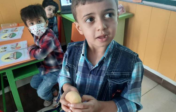 : علوم فصل اول، کلاس توت فرنگی 3