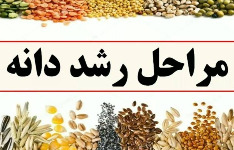 :علوم، فصل نهم صفحه 66 و 67 1