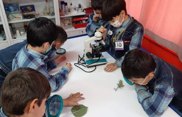 :علوم فصل پنجم،دنیای گیاهان، کلاس سیب 1