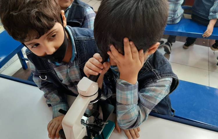 :علوم فصل پنجم،دنیای گیاهان، کلاس سیب 4