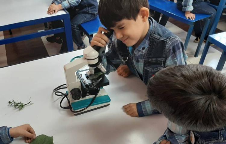 :علوم فصل پنجم،دنیای گیاهان، کلاس سیب 5