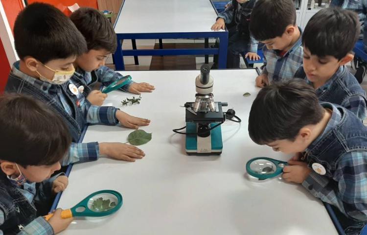 :علوم فصل پنجم،دنیای گیاهان، کلاس سیب