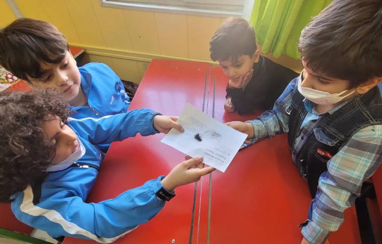 :علوم، فصل 13، آهنربای من 4