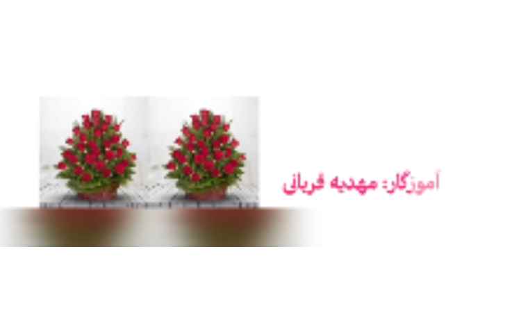 علوم: فصل 4 خوب ببین و بخاطر نگه دار