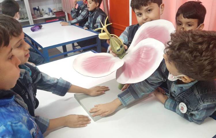 :علوم فصل 4 ، کلاس توت فرنگی 1