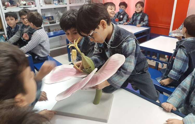 :علوم فصل 4 ، کلاس توت فرنگی 2