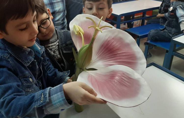 :علوم فصل 4 ، کلاس توت فرنگی 3