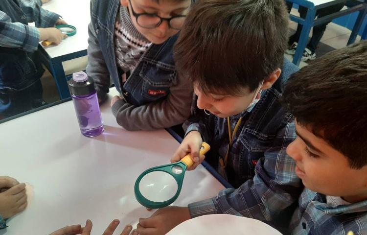 :علوم فصل 4 ، کلاس توت فرنگی 4