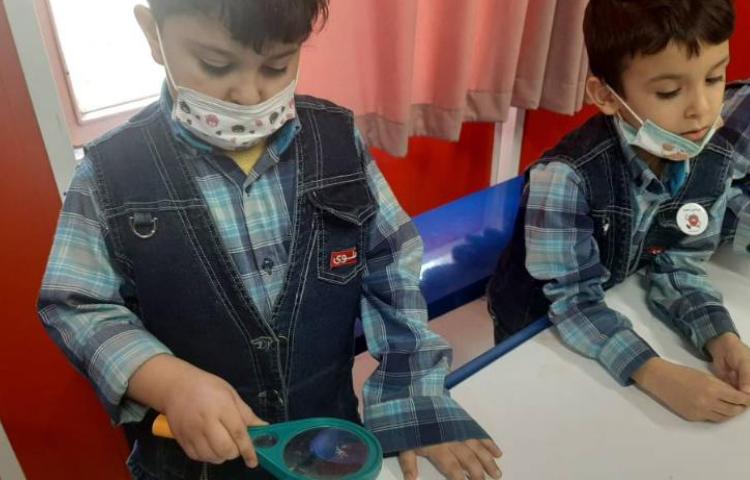 :علوم فصل 4 ، کلاس توت فرنگی 5