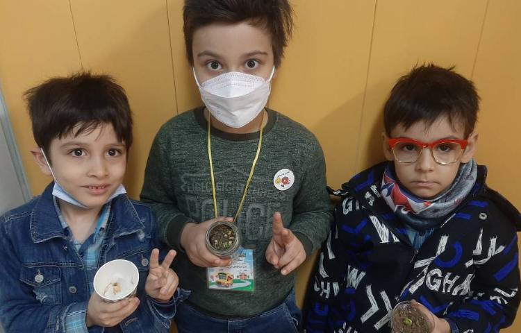 :علوم، فصل5 (گیاهان) 1