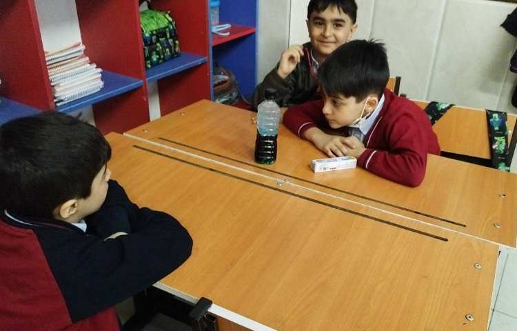علوم فعالیت با برگ و فعالیت گوی رنگی 2