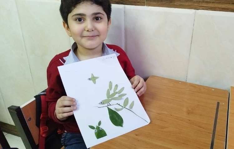 علوم فعالیت با برگ و فعالیت گوی رنگی 5