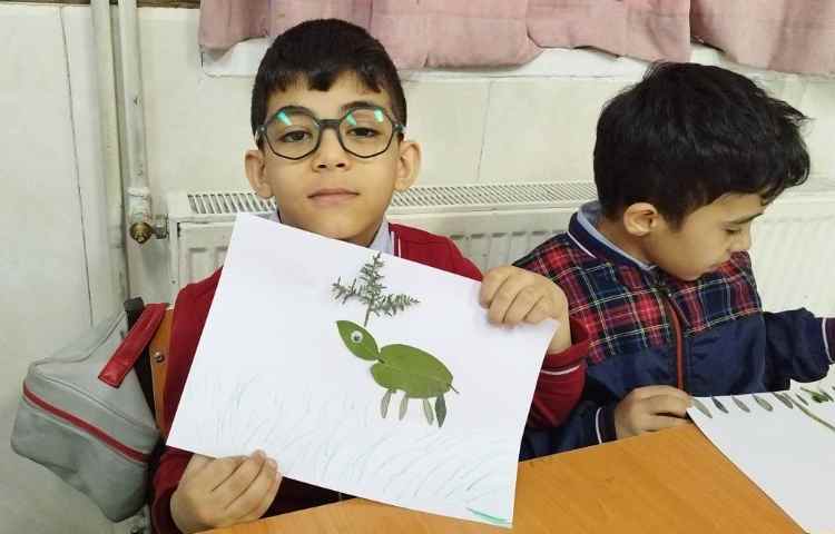 علوم فعالیت با برگ و فعالیت گوی رنگی 7