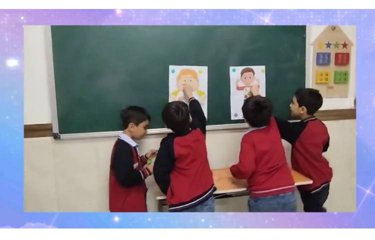 علوم فعالیت تکمیلی تثبیت یاد گیری غذاهای مفید و غیر مفید با مشارکت دانش آموزان