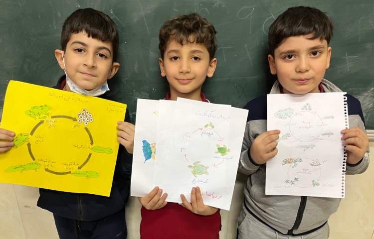 علوم : فعالیت درون آشیانه 2