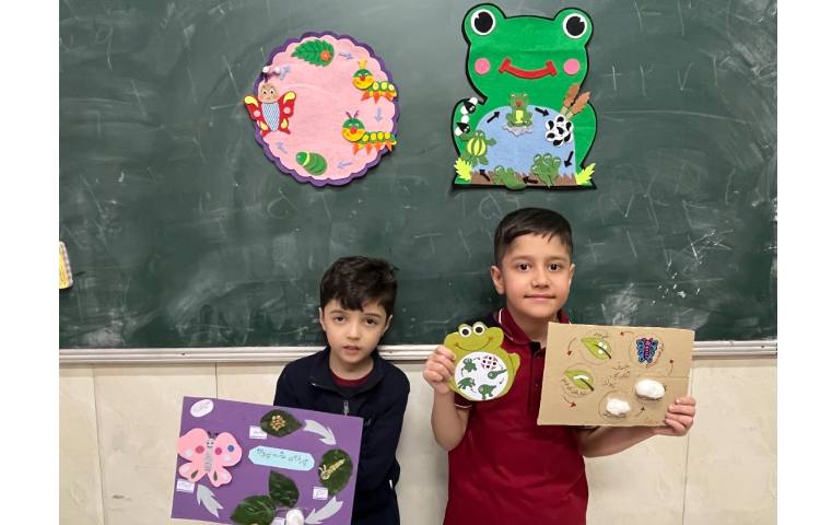 علوم : فعالیت درون آشیانه 4