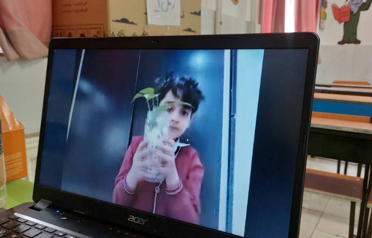 علوم فعالیت عملی گیاهان ( مشاهده ی رشد گیاه) 1