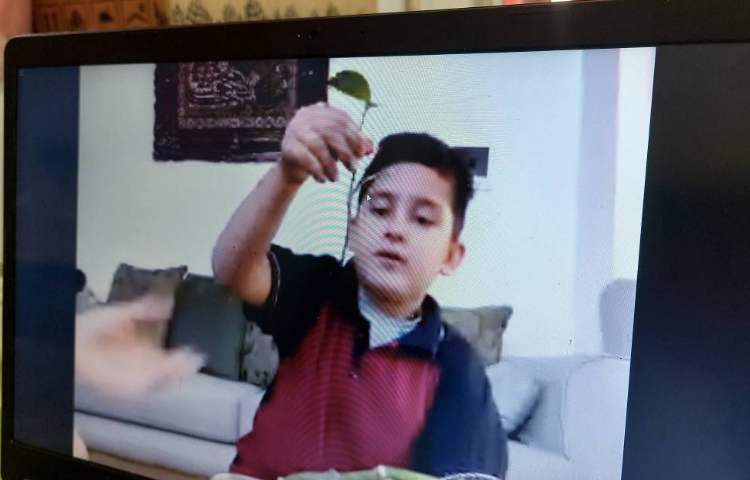 علوم فعالیت عملی گیاهان ( مشاهده ی رشد گیاه) 2