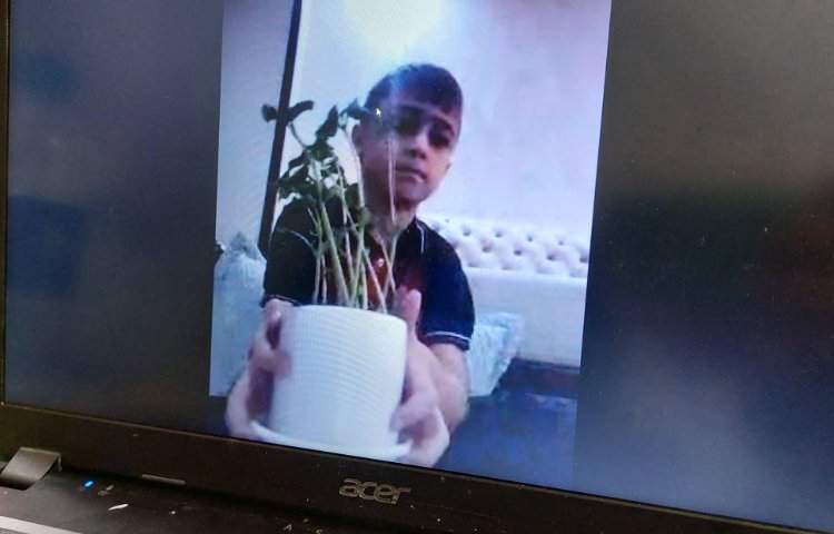 علوم فعالیت عملی گیاهان ( مشاهده ی رشد گیاه) 3