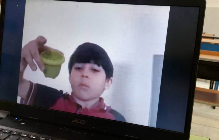 علوم فعالیت عملی گیاهان ( مشاهده ی رشد گیاه) 5