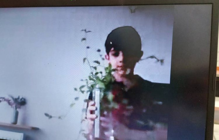 علوم فعالیت عملی گیاهان ( مشاهده ی رشد گیاه) 6