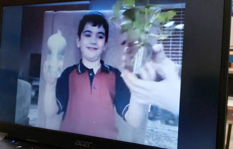 علوم فعالیت عملی گیاهان ( مشاهده ی رشد گیاه) 8