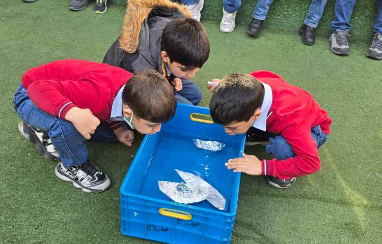 علوم -مبحث: آشنایی با اثرات نیرو و انجام فعالیت کتاب درسی 1