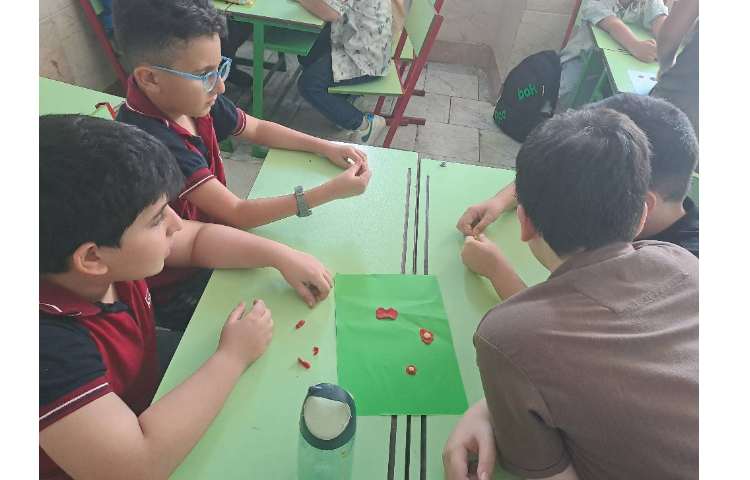 علوم مبحث سلول ها 4