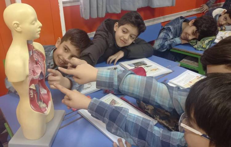 :علوم، مبحث مهره داران، هر کدام جای خود 2