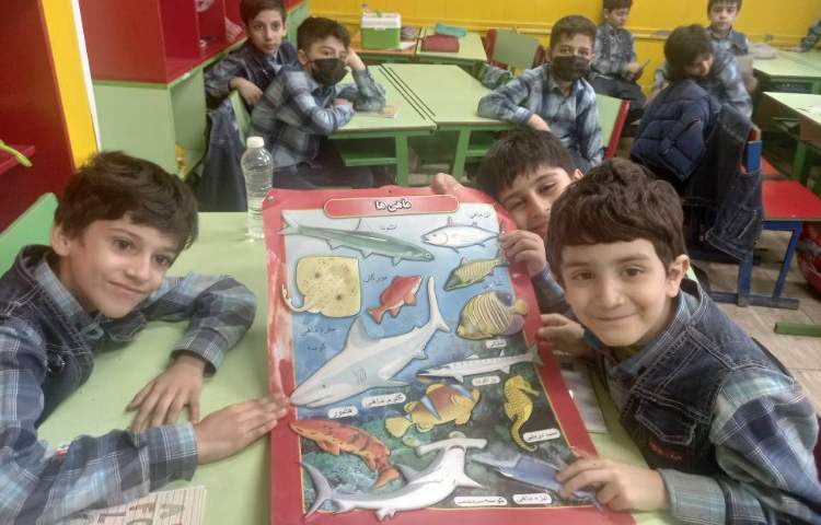 :علوم، مبحث مهره داران، هر کدام جای خود 3