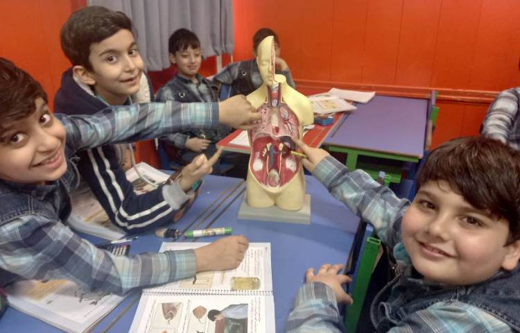 :علوم، مبحث مهره داران، هر کدام جای خود 4