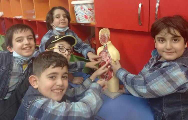 :علوم، مبحث مهره داران، هر کدام جای خود 5