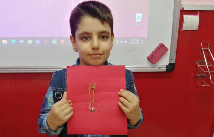 :علوم، مبحث چرخه رشد گیاهان و جانوران 2