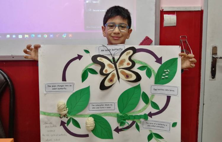 :علوم، مبحث چرخه رشد گیاهان و جانوران 4