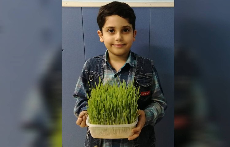 :علوم، مبحث چرخه رشد گیاهان و جانوران