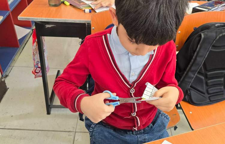 علوم -مبحث: کاربرگ آشنایی با اجزای یک گیاه 1