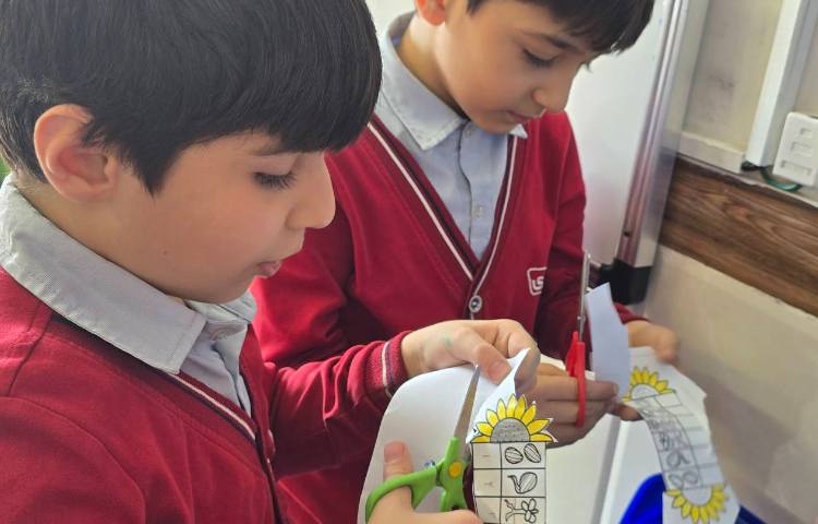 علوم -مبحث: کاربرگ آشنایی با اجزای یک گیاه 2