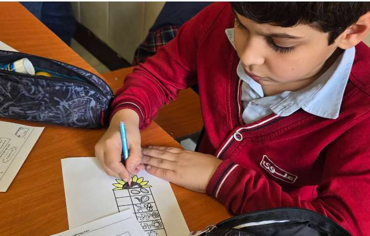 علوم -مبحث: کاربرگ آشنایی با اجزای یک گیاه 3