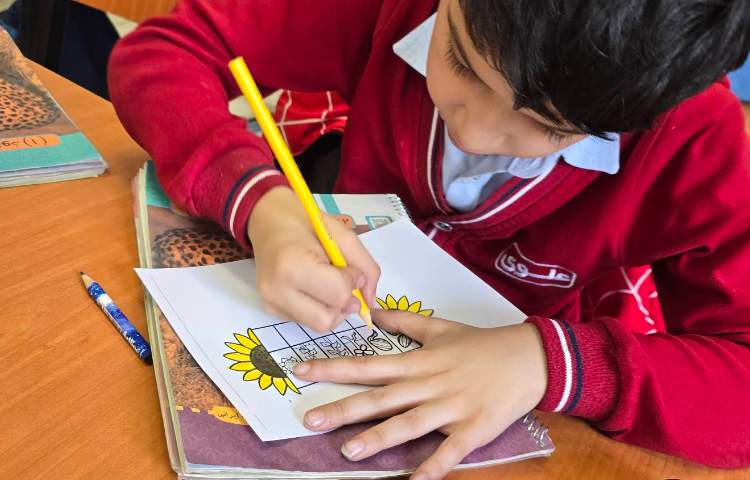 علوم -مبحث: کاربرگ آشنایی با اجزای یک گیاه 4