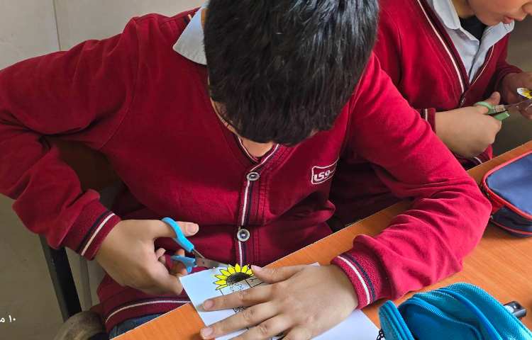 علوم -مبحث: کاربرگ آشنایی با اجزای یک گیاه 6