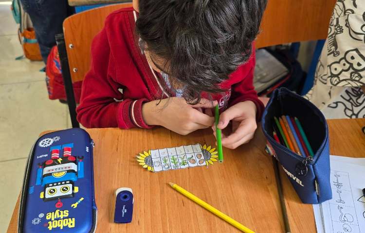 علوم -مبحث: کاربرگ آشنایی با اجزای یک گیاه 7