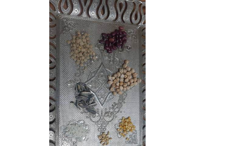 علوم - مبحث: کاشت دانه و آشنایی با اجزای یک گیاه 1